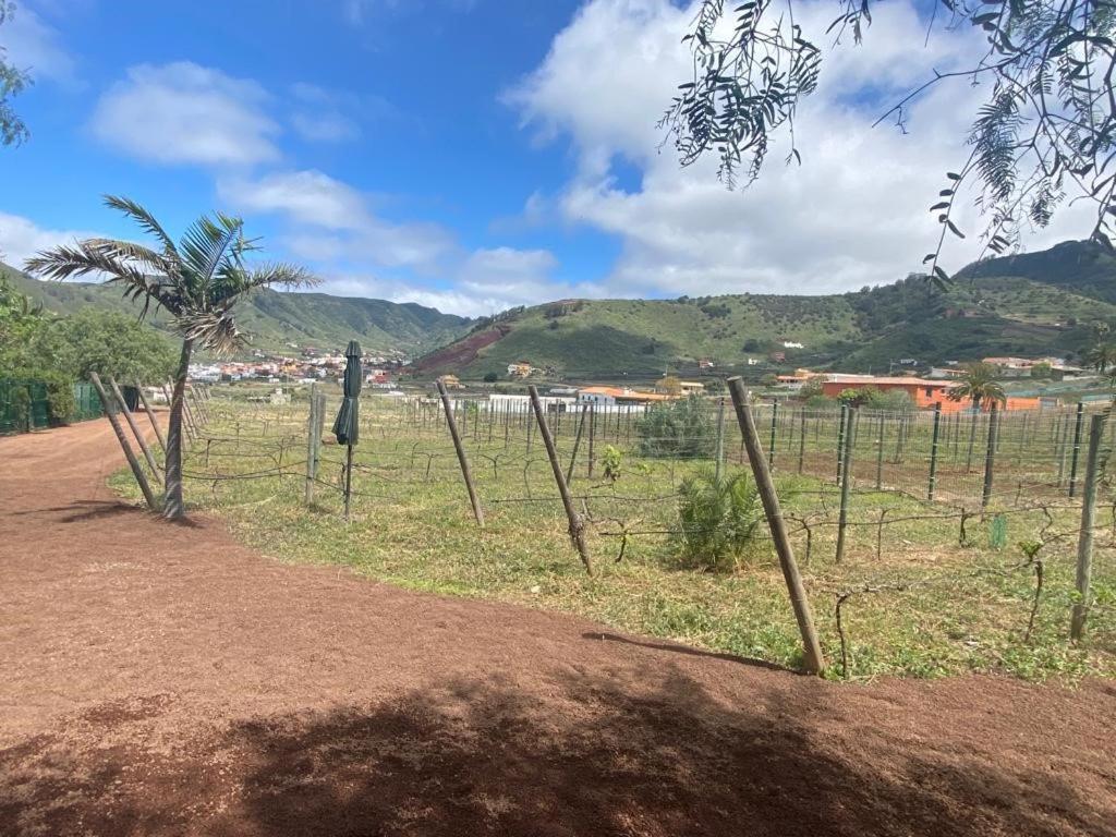 Casita Entre Vinedos, Experiencia Rural, Ideal Ninos. Tegueste Exteriör bild