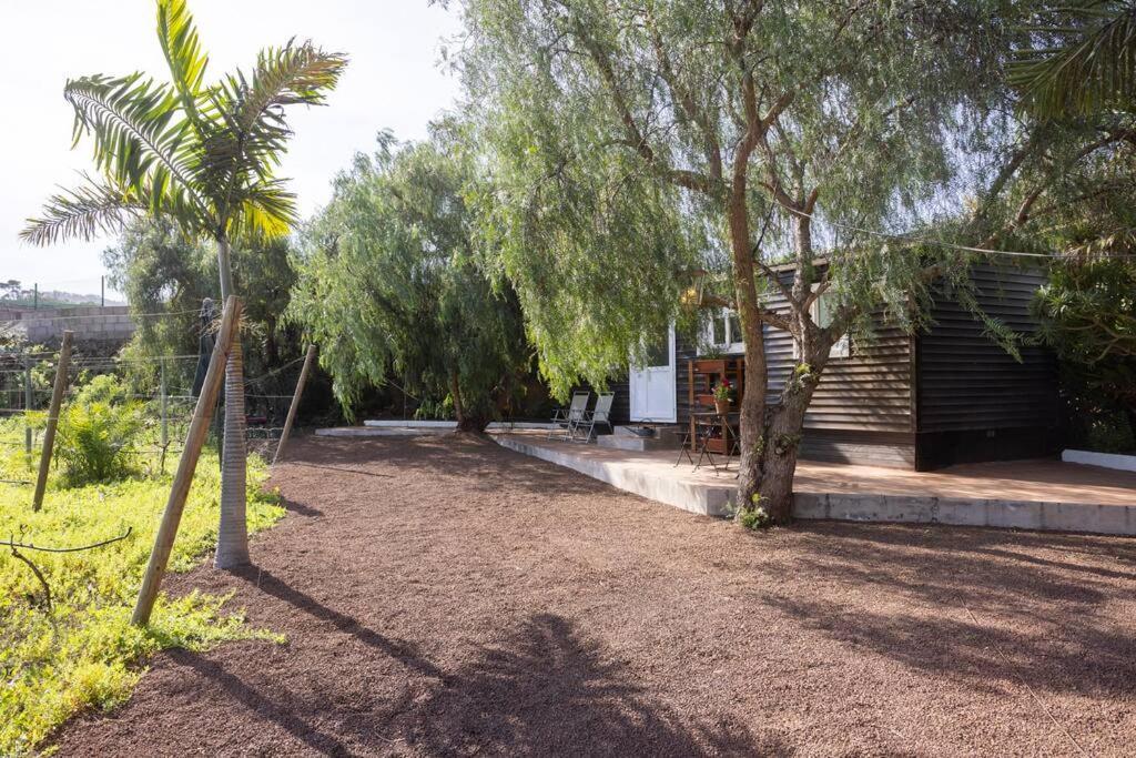 Casita Entre Vinedos, Experiencia Rural, Ideal Ninos. Tegueste Exteriör bild